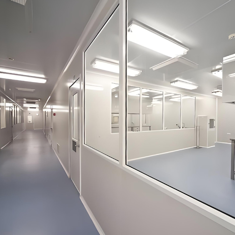 Dust-Proof Workshop 1 Year Air Purification System Laboratory Clean Room