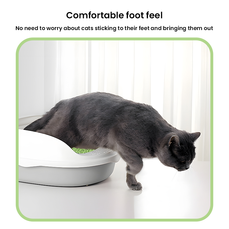 2kg 5kg 10kg Tofu Cat Litter Sand Eco-Friendly Natural Flushable Cat Litter