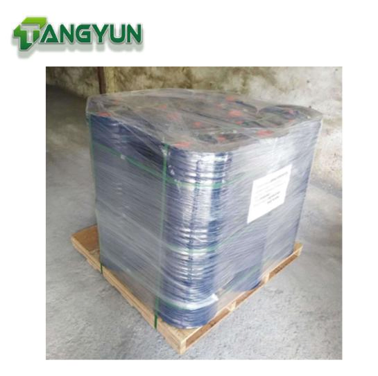 General Pest Control Permethrin 100g/L Ec Target Insects Fly Mosquito Cockroack in Public Area