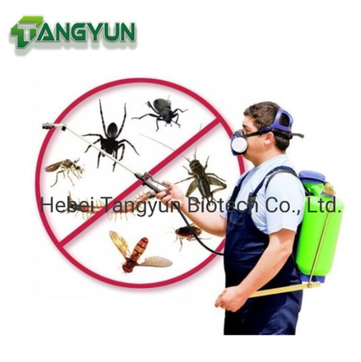 General Pest Control Permethrin 100g/L Ec Target Insects Fly Mosquito Cockroack in Public Area