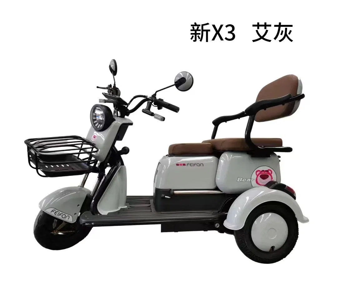 1000W 48/60/72V Adult Electric Tricycle Highly Cost Effective