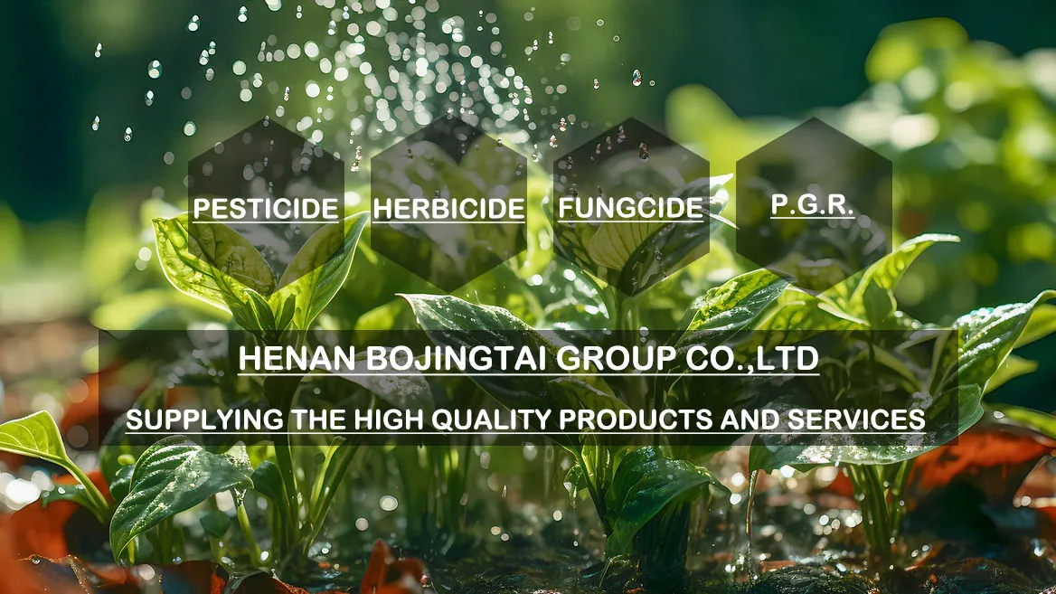 Cyhalodiamide Banner