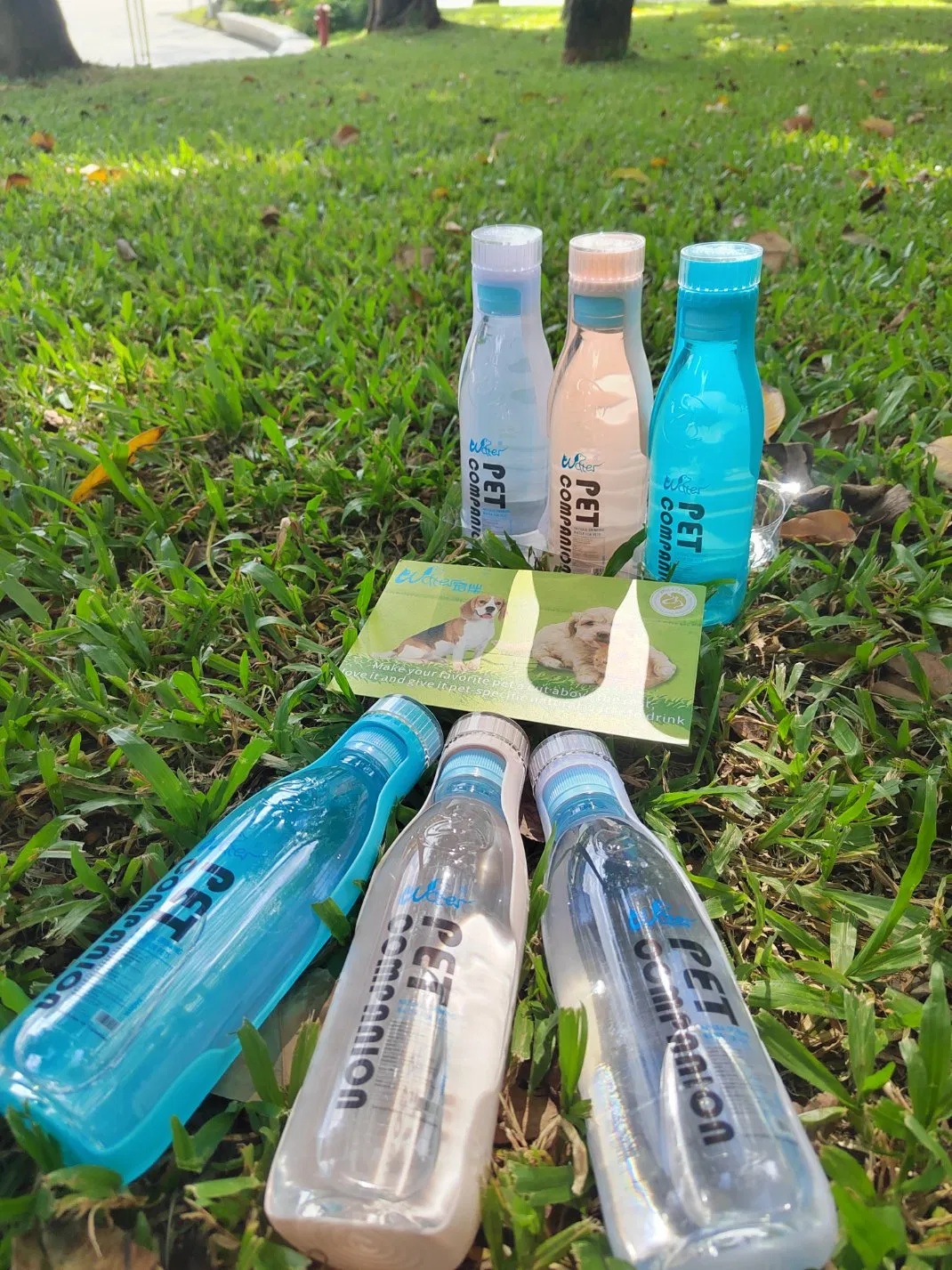 Pet-Specific Drinking Water, Rich in Mineral Elements Such as Calcium, Magnesium, Sodium, Potassium, Strontium and Metasilicic Acid. It Is Helpful for The Intes