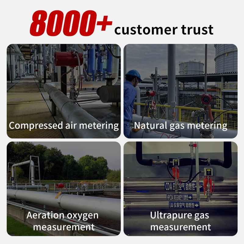 Compressed Air Flow Meter Thermal Mass Flow Meter Compressed Air Flowmeter Natural Gas Airflow Meter for Nitrogen Oxygen CO2 Carbon Dioxide Biogas Humidity Gas