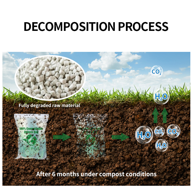 Yurui PLA Pbat Corn Starch Eco Friendly Custom Printed Zipper Packing Snack Pouch Food Packaging Compostable Biodegradable Ziplock Bag