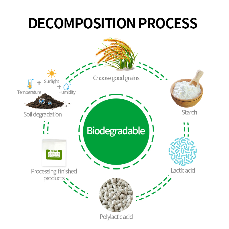 Yurui PLA Pbat Corn Starch Eco Friendly Custom Printed Zipper Packing Snack Pouch Food Packaging Compostable Biodegradable Ziplock Bag