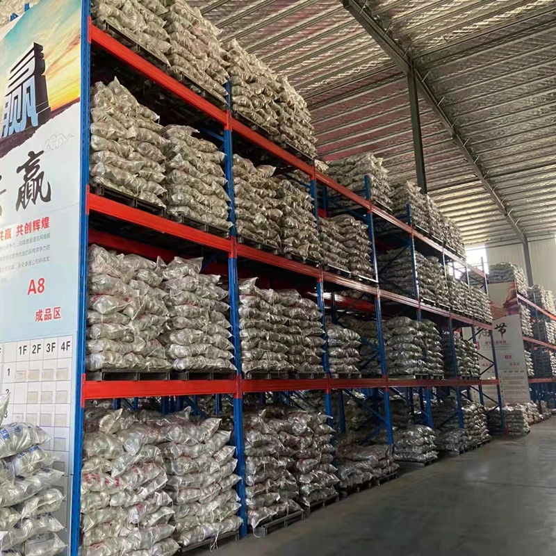 Customizable Powder Coated Warehouse Shelving for Ultimate Durability