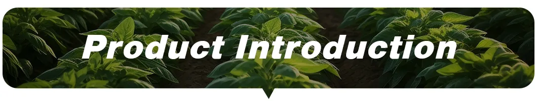 Technical Specs Header