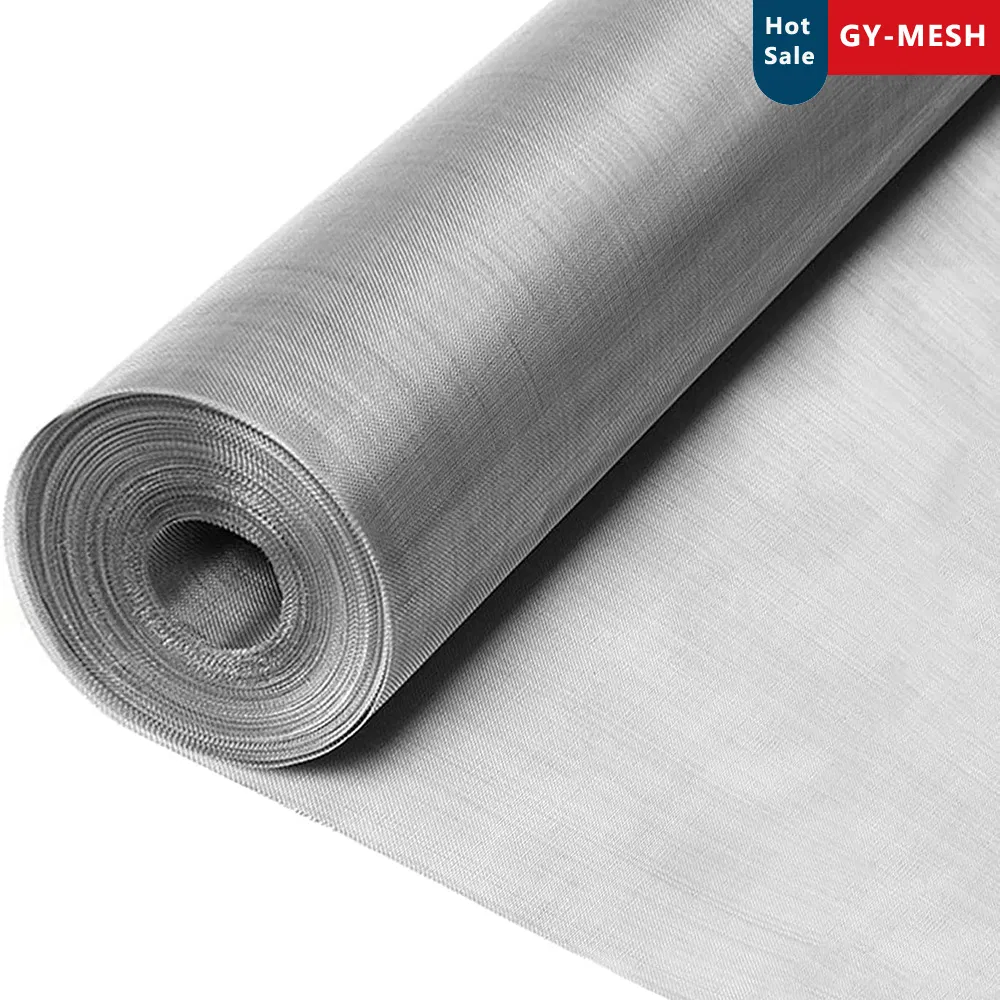 Stainless Steel Mesh Galvanized Wire Mesh for Mosquito Window Screen Insect Wire Netting