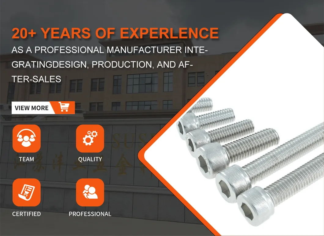 Hexagon Socket Screw Overview