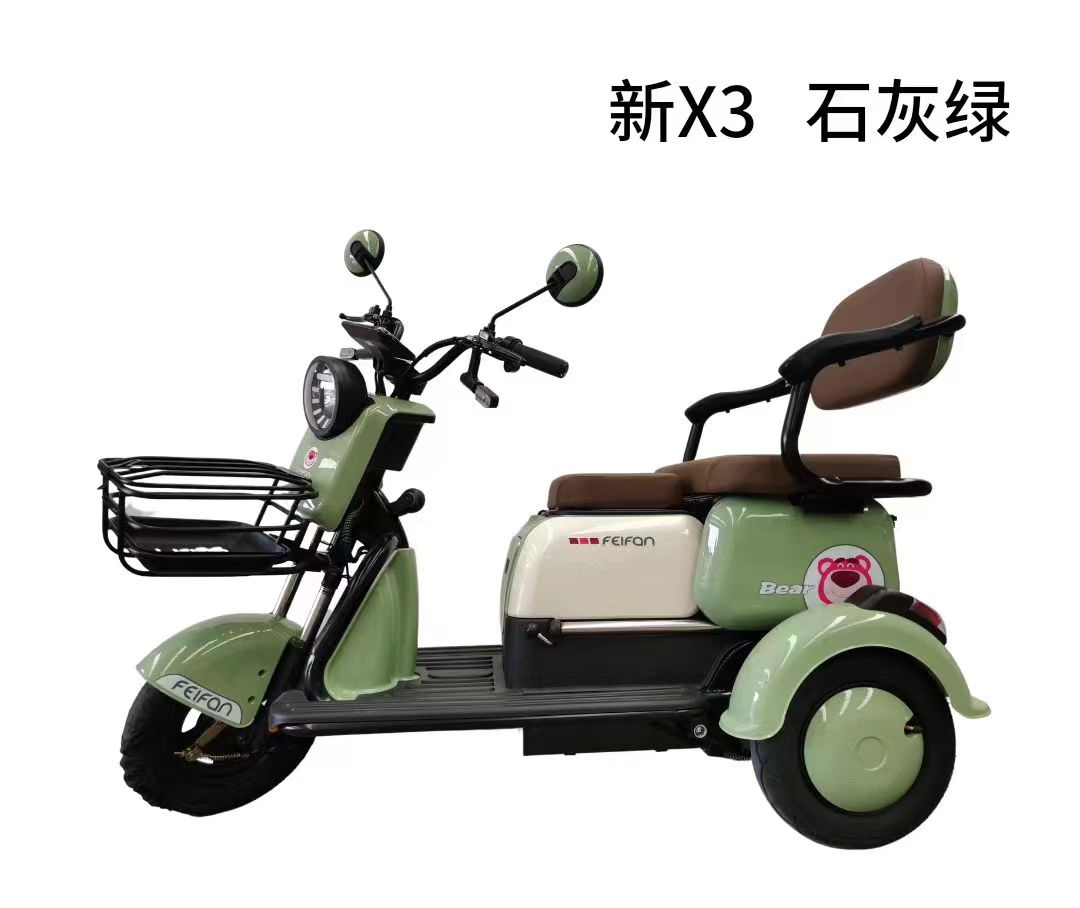 1000W 48/60/72V Adult Electric Tricycle Highly Cost Effective