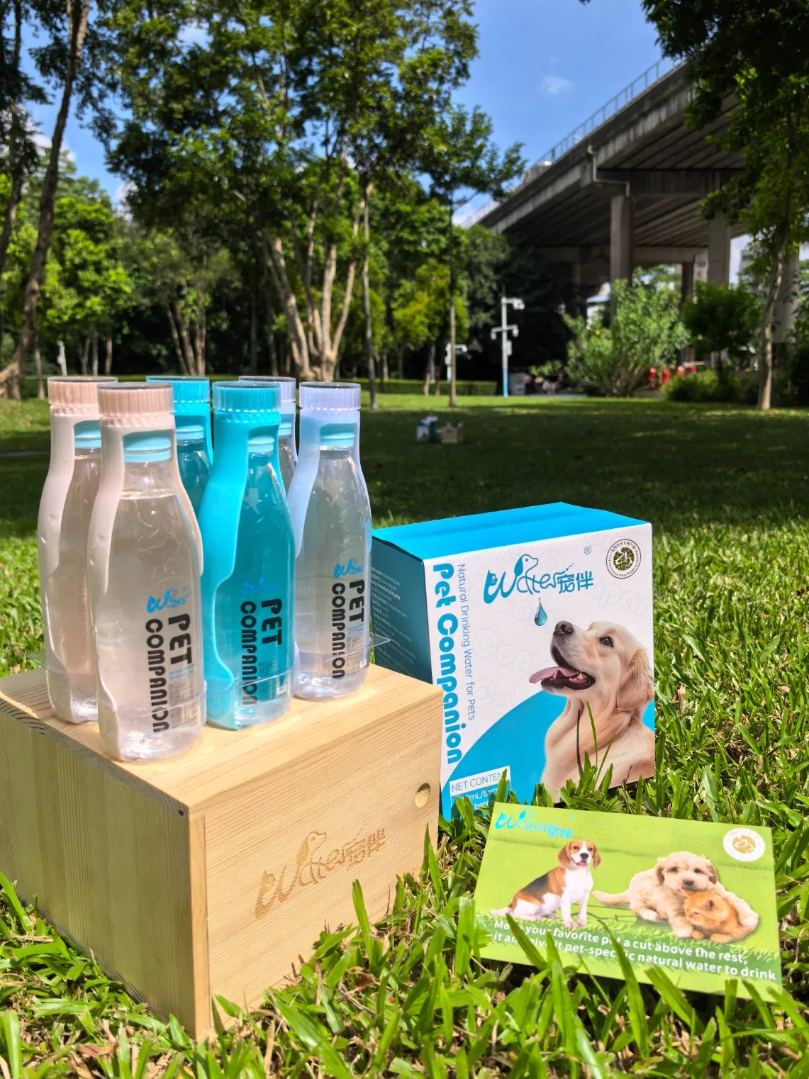 Pet-Specific Drinking Water, Rich in Mineral Elements Such as Calcium, Magnesium, Sodium, Potassium, Strontium and Metasilicic Acid. It Is Helpful for The Intes
