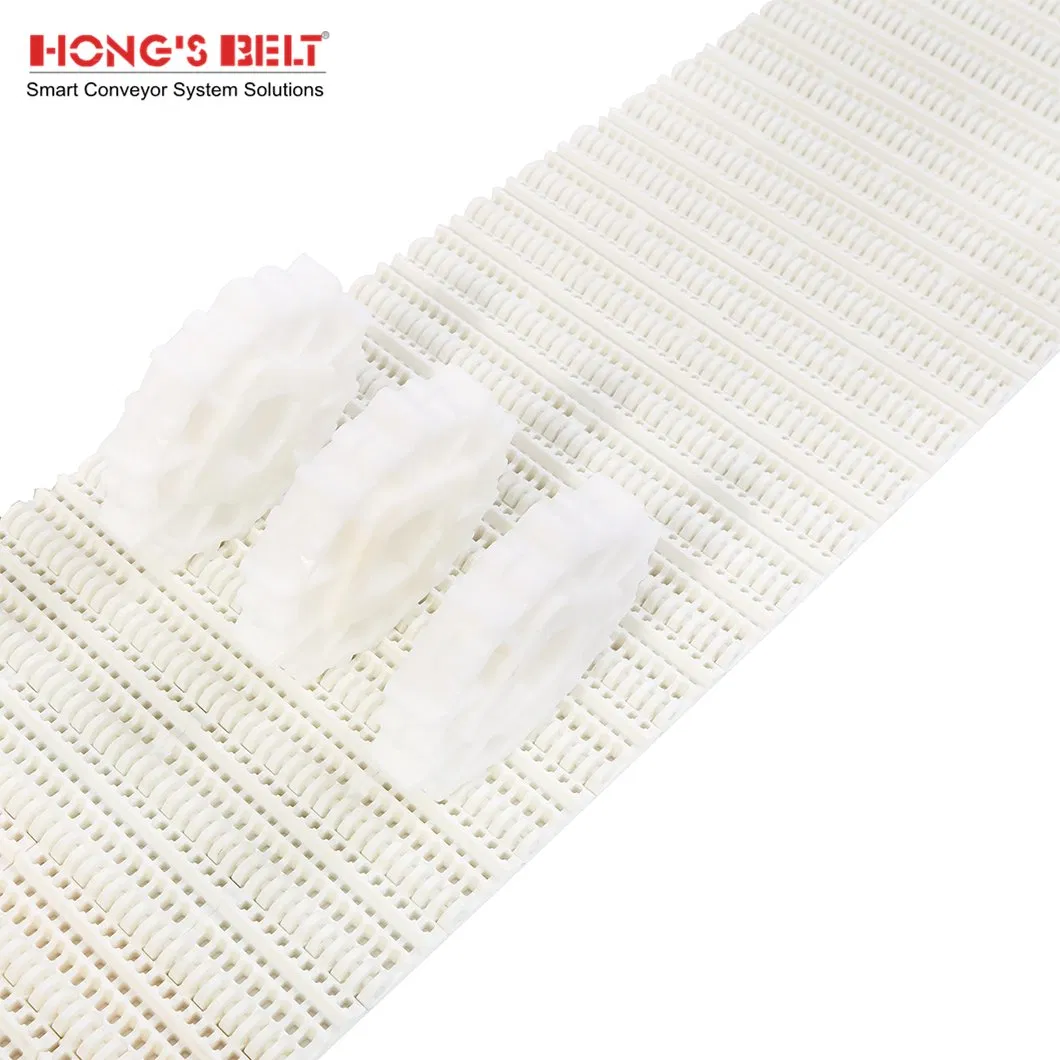 Hongsbelt Food Plastic Modular Conveyor Belt
