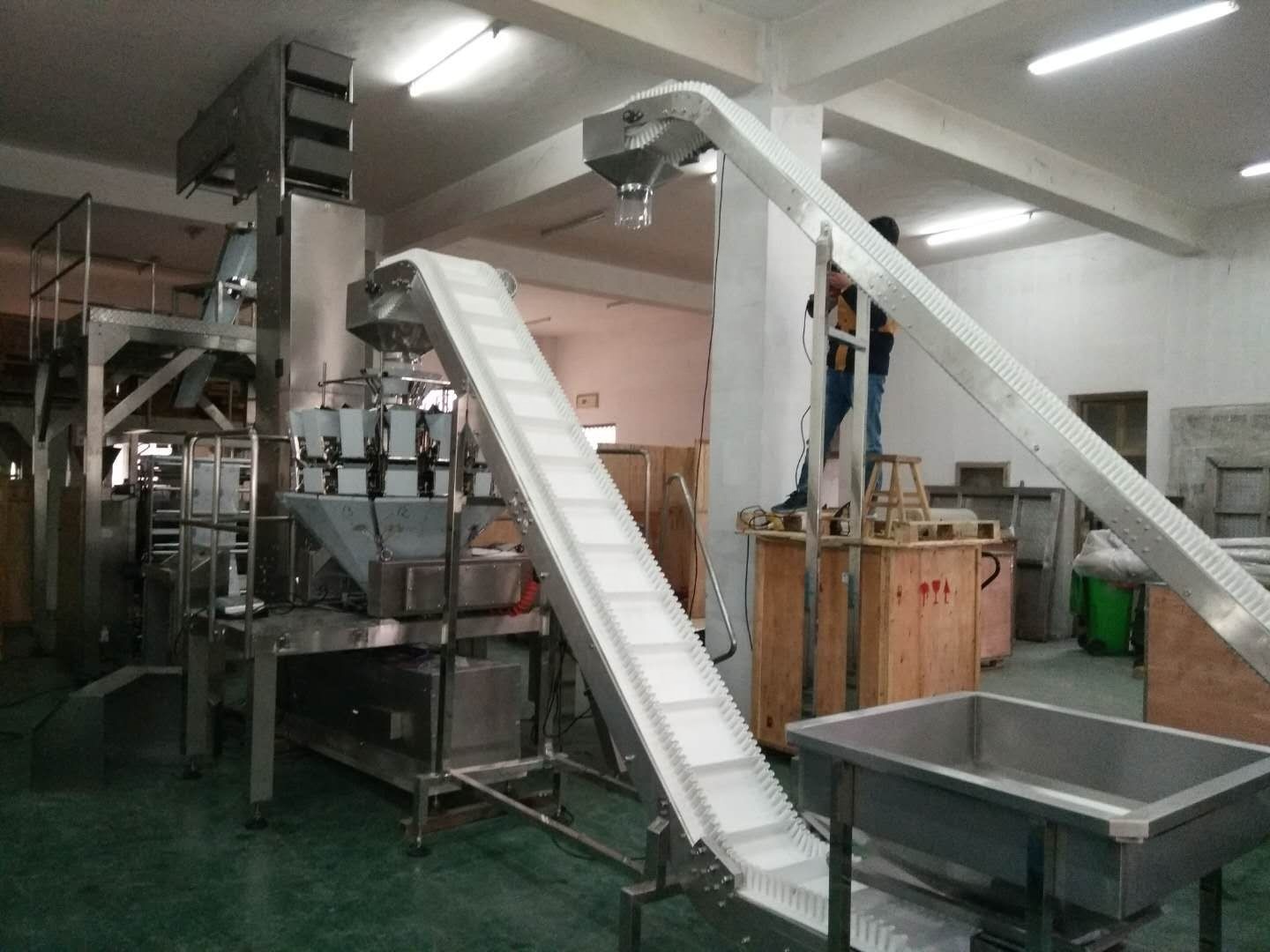 Easy Operate Automatic Food Grade Inclined Food Belt Conveyor for Frozen Fruits