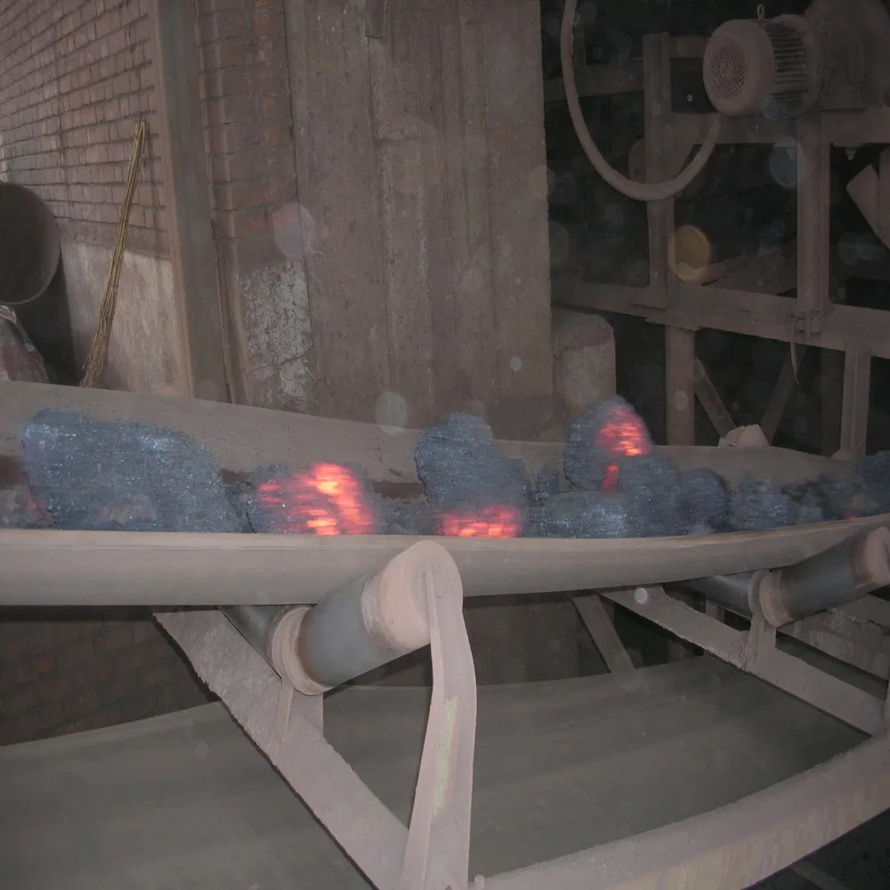 Heat Resistant Conveyor Belt