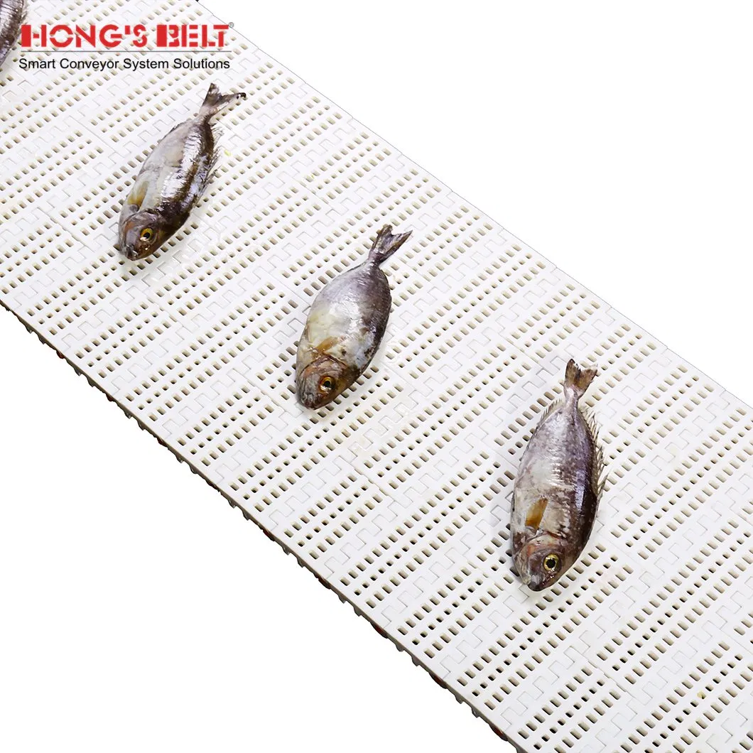 Food Plastic Modular Conveyor Belt Details 1