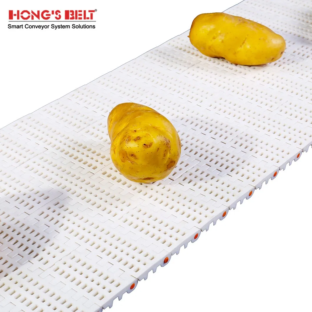 Hongsbelt Food Plastic Modular Conveyor Belt