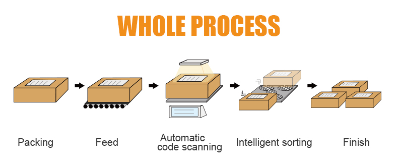 Sorting Process