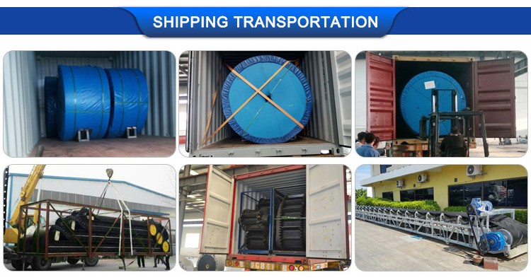 Logistics & Shipping