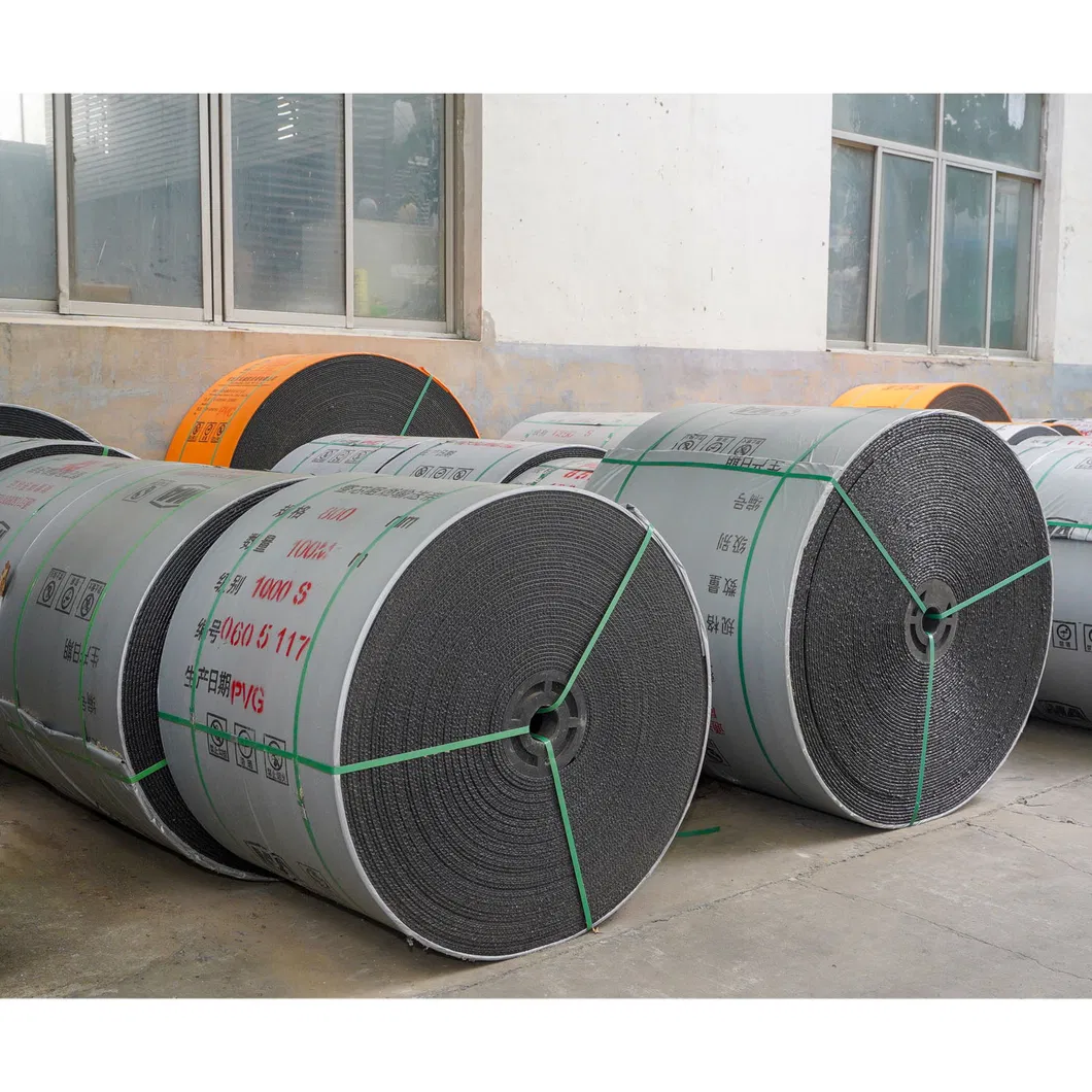 Conveyor Belt Details 4