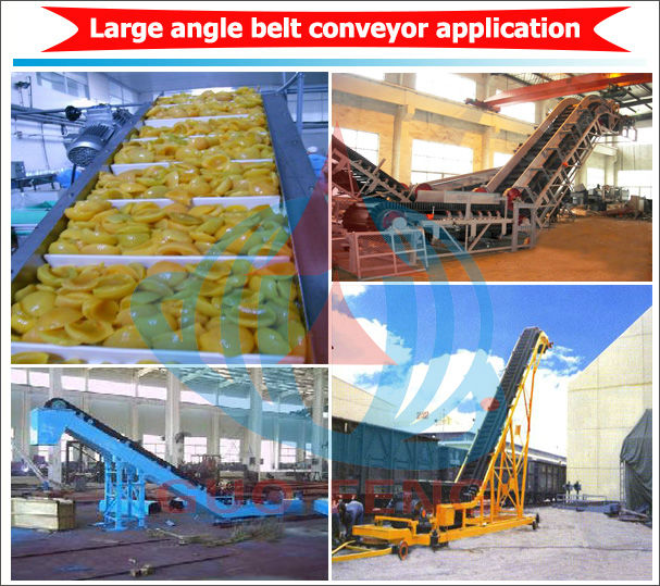 Conveyor Details Dimension