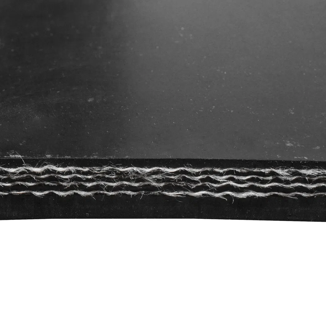 Conveyor Belt Detail Photo 1
