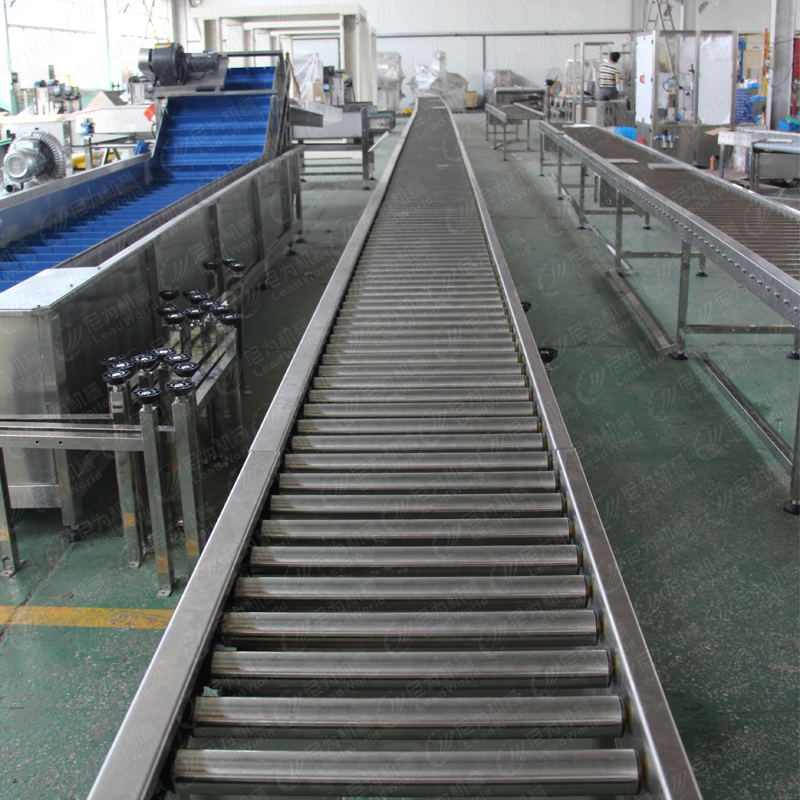 Linear Roller Conveyor