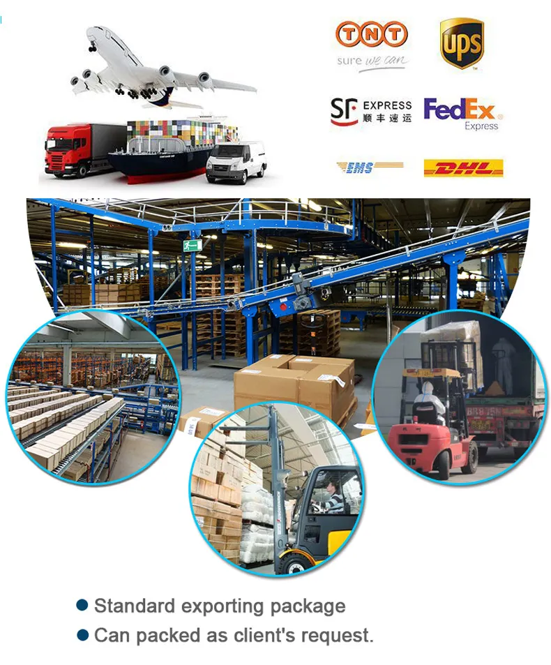 Conveyor Flat Top S1633b Modular Plastic Belt