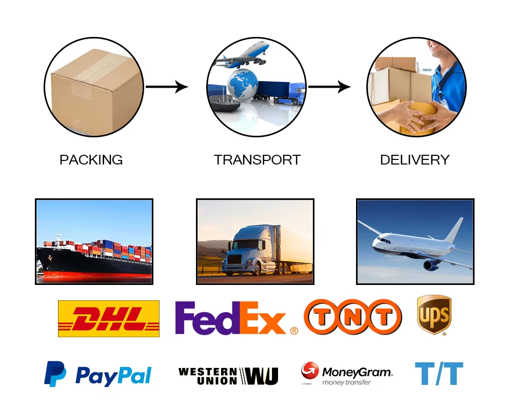 Packing and Delivery Image