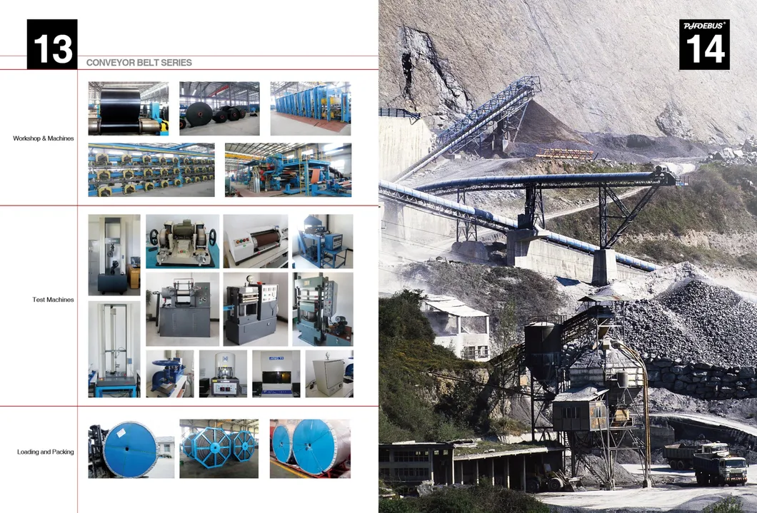 Ep Polyester Steel Cord Heat Fire Flame Cold Oil Acid Alkali Impact Wear Resistant Rip-Stop Chevron Straight Warp Sidewall Pipe Rubber Conveyor Belt