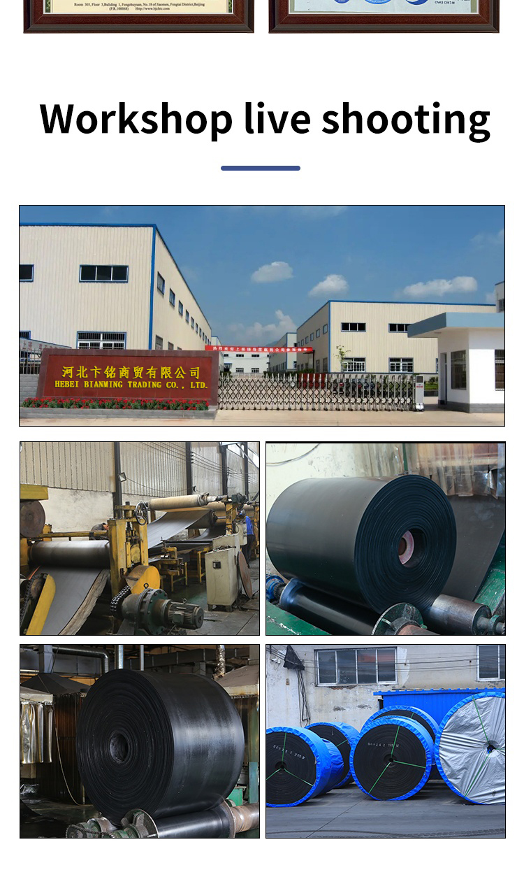 Conveyor Belt Gallery 10