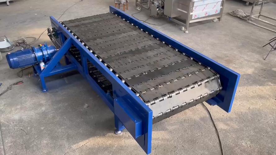 Adjustable Speed New Stainless Steel 304 Gravity Conveyor Belt for Vegetable Cleaning for Retail Industries