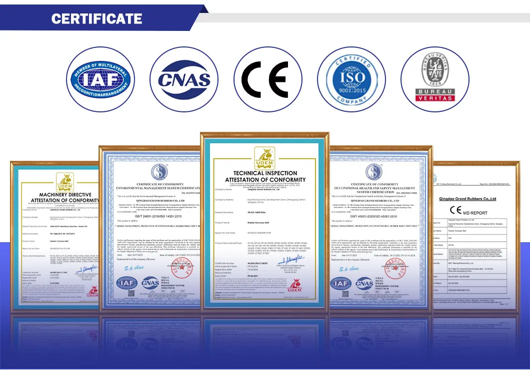 Fabric/Steel Cord/Chevron/Corrugated Sidewall/Rubber/Pipe/Bucket/Oil/Heat/Acid/Alkali/Abrasion/Fire/Cold Resistant Flame Retardant Conveyor Belt for Mine/Cement