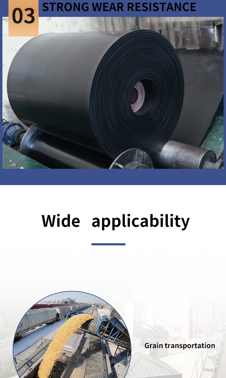 Conveyor Belt Gallery 4
