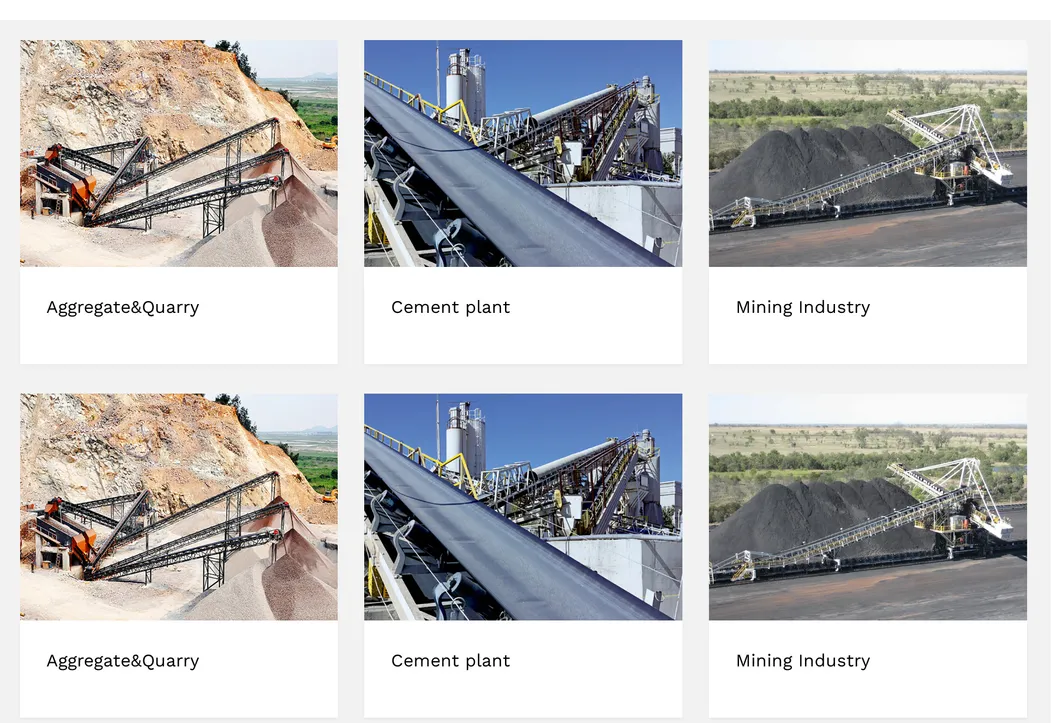 Conveyor Belt Applications