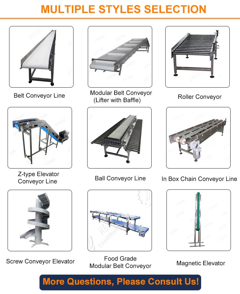 Conveyor Production Line Details