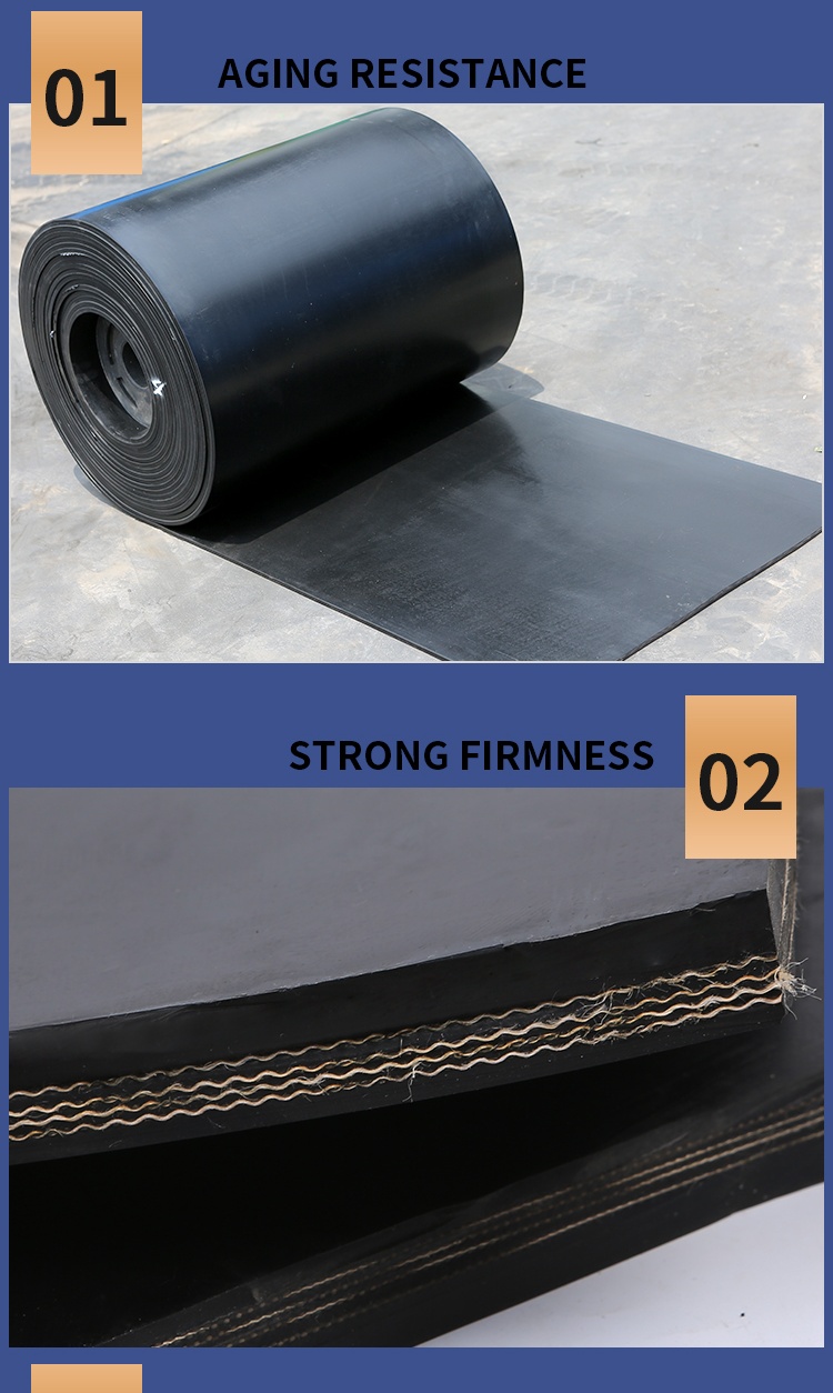 Conveyor Belt Gallery 3