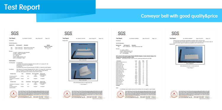 High Quality Blue Pu Conveyor Belt Food Industry Heat Resistant Conveyor Belt