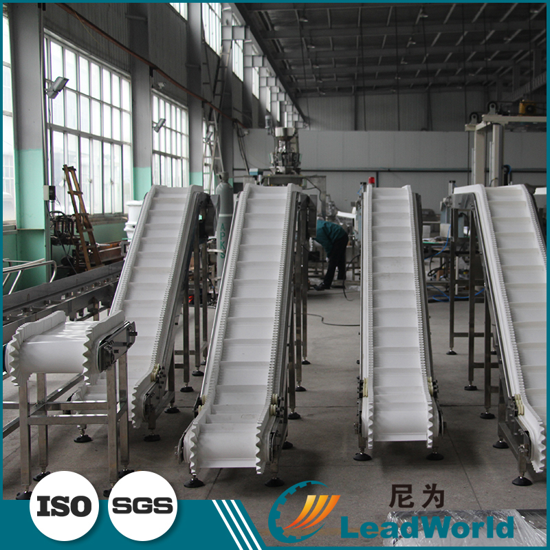 LeadWorld Custom Food Industry Vertical Vegetable Fruit Incline Flat PVC White Conveyor Belt System