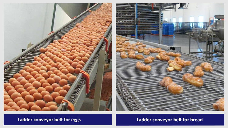 Ladder Conveyor Belt Applications Showcase