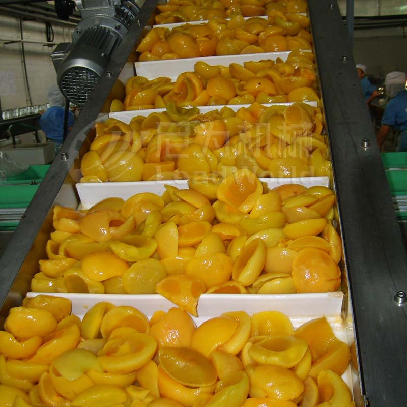 LeadWorld Custom Food Industry Vertical Vegetable Fruit Incline Flat PVC White Conveyor Belt System