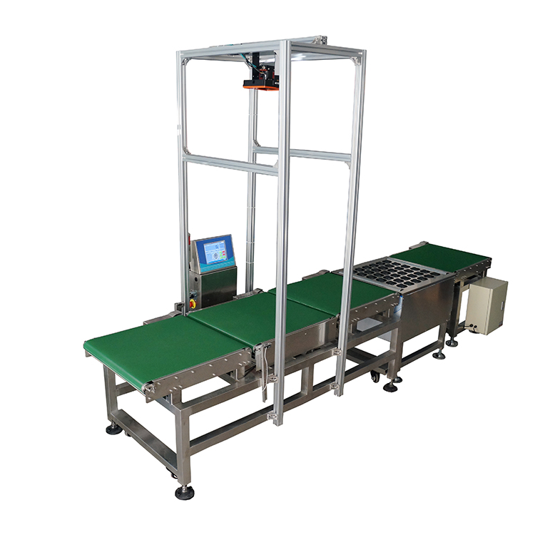 Hi Speed High Accuracy Weighing Dimension Bar Code Scanning Package Sort Warehouse Sorting Conveyor Belts