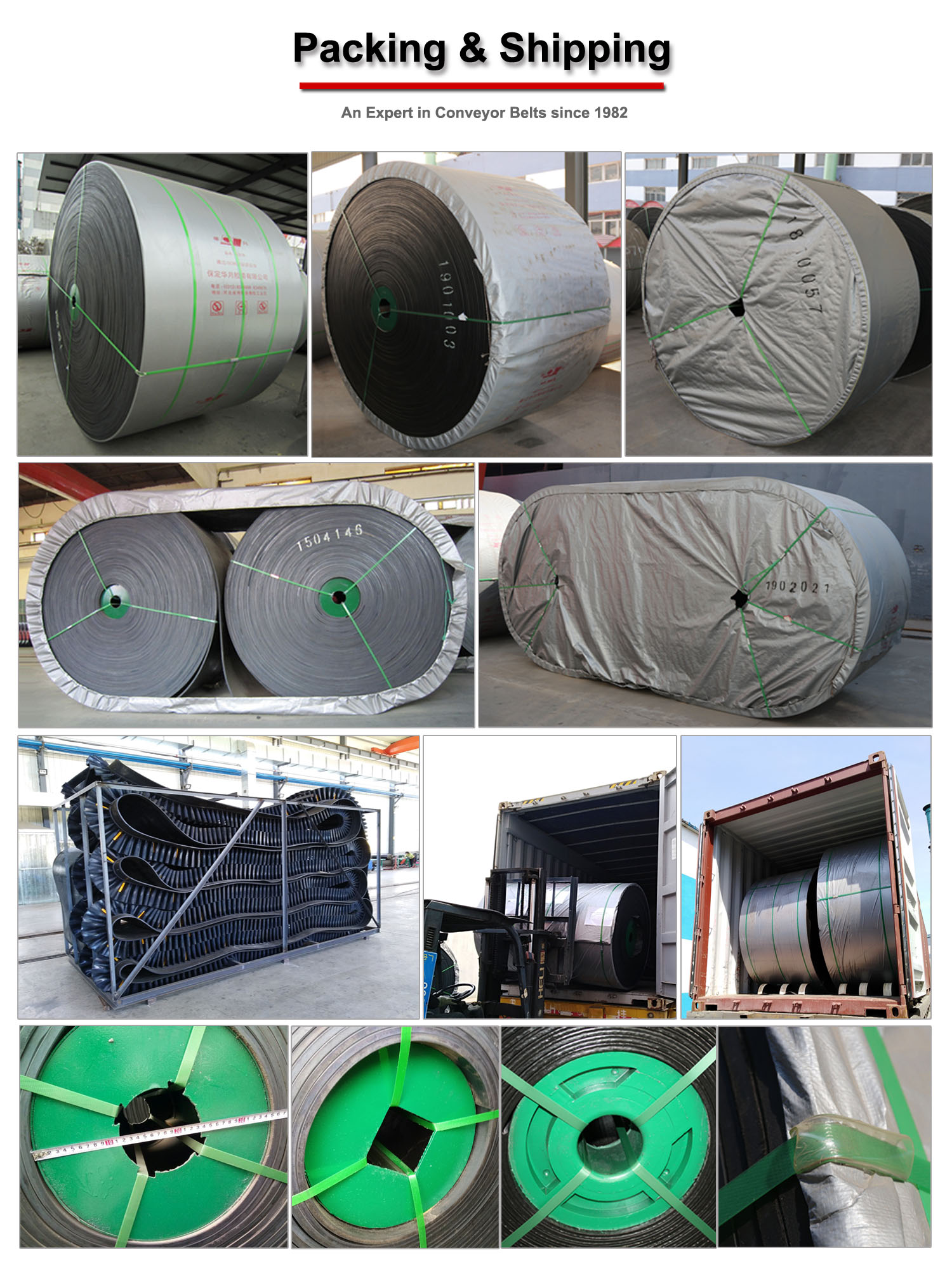 Packaging & Shipping