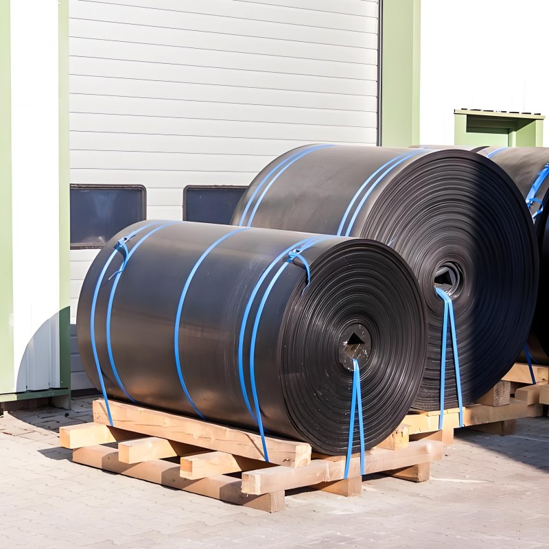 Manufacturer Heavy Duty Stainless Steel Conveyor Belt Adjustable Speed for Manufacturing Plant Industries