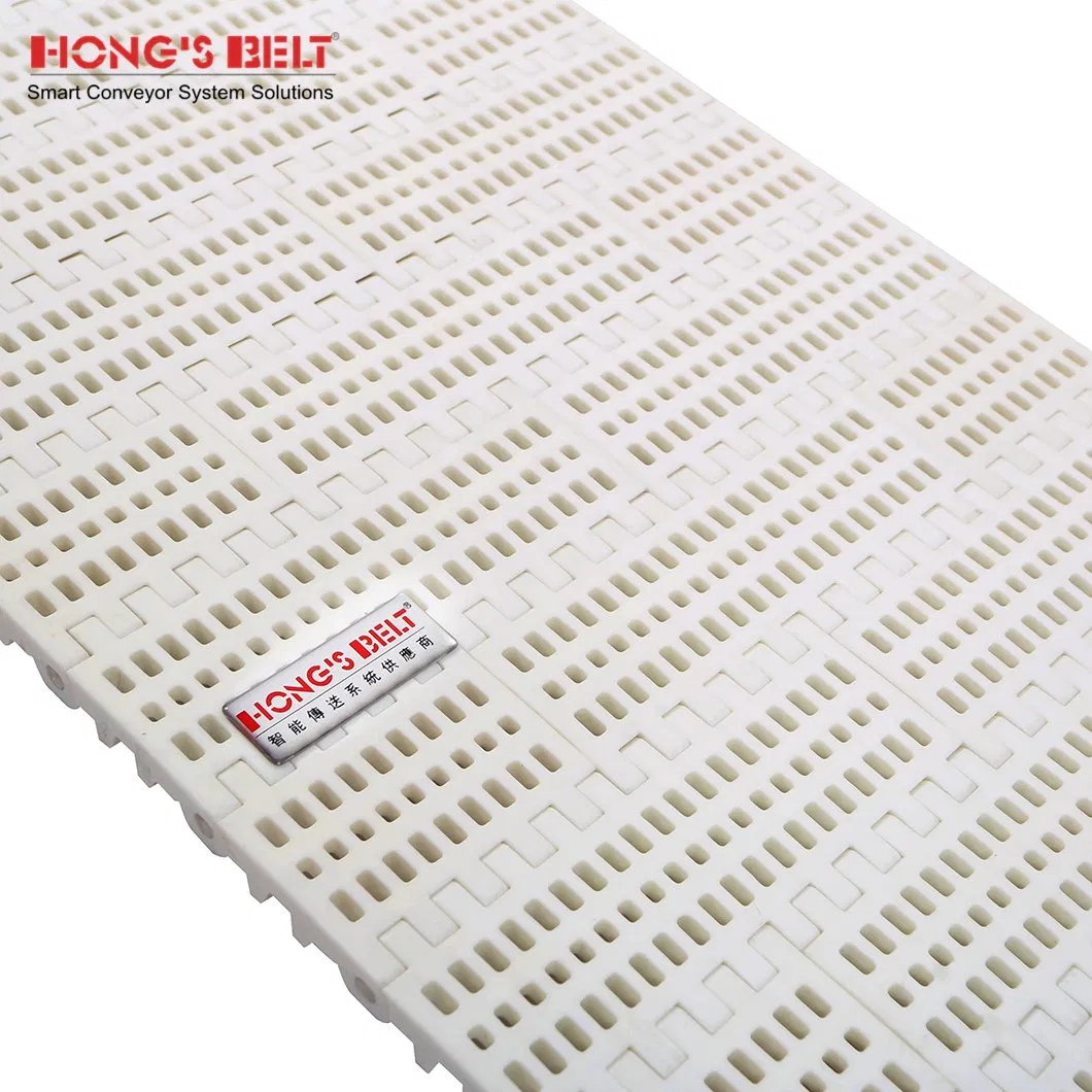 Hongsbelt Food Plastic Modular Conveyor Belt