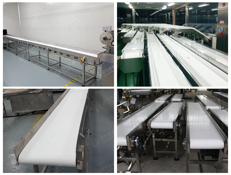 Belt Conveyor Product Image 2