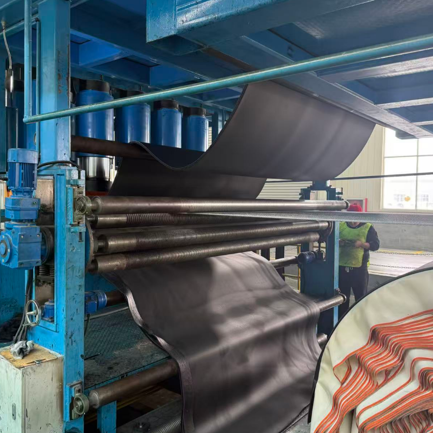 China Supplier Heat Resistant Ep250 Conveyor Belt Fabric Conveyor Belt for Translate