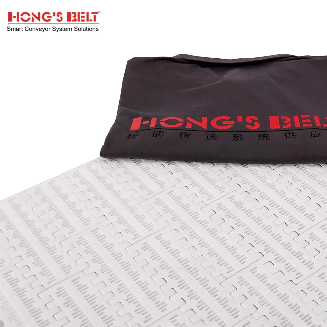 Hongsbelt Conveyor Components Modular Conveyor Belts Plastic for Intralox Series 800 Perforated Flat Top