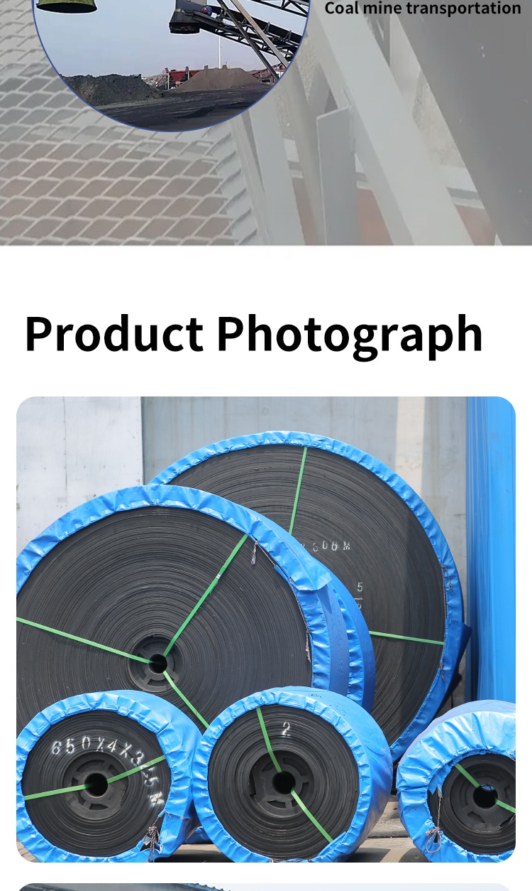 Conveyor Belt Gallery 6