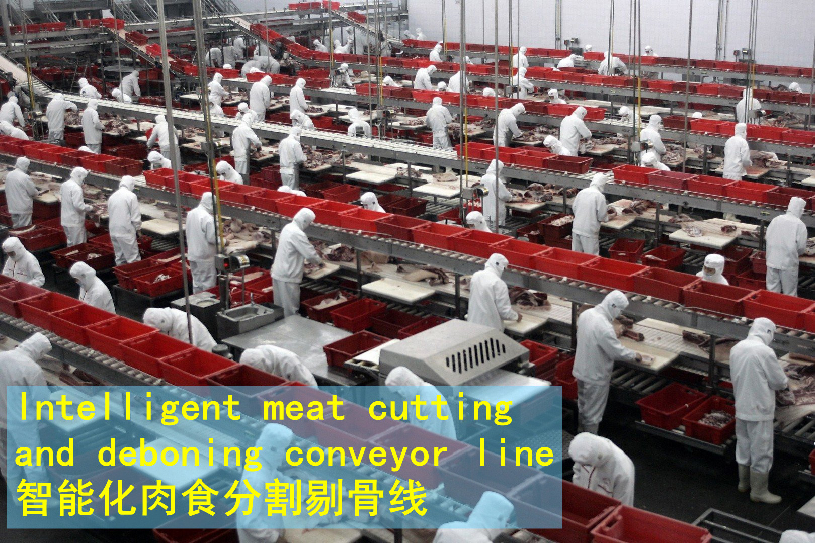 Meat Bone cutting line and fat trimming line
